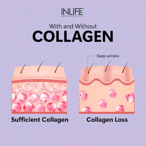 INLIFE Hydrolyzed Collagen Peptides Powder Clinically Proven Ingredient, Type 1 & 3, Skin Health, Bone Health Supplement - 200 mg (Unflavoured) - Imagen 4